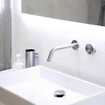 Basicvillage